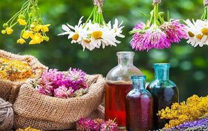 ظرفیت بالای گیاهان دارویی سراوان؛ بستری برای توسعه اقتصادی