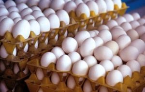 قیمت هر کیلو تخم‌مرغ چند شد؟/نرخ جدید درب مرغداری اعلام شد
