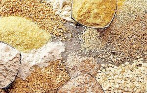 محدودیت واردات از طریق بنادر جنوبی کشور / اولین محموله نهاده دامی نیز از بنادر شمالی وارد کشور شده است