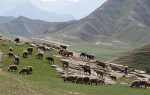 نرخ تعرفه‌های مرتعی در سال 1405 اعلام شد