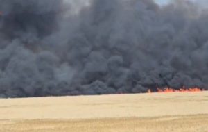 آتش سوزی وسیع در نیزارهای محدوده تالاب میقان اراک