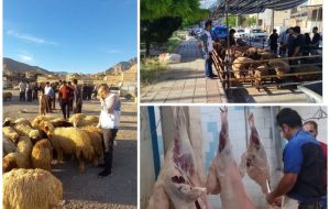 اجرای موفق طرح نظارت بهداشتی عید قربان در کرمانشاه