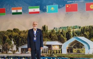 اسدی: توسعه پایدار بدون امنیت شهری معنا ندارد اسدی: توسعه پایدار بدون امنیت شهری معنا ندارد