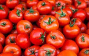 بازار صادراتی جان گرفت / دستور تازه گمرک برای خروج آزادانه سه کالای حساس