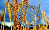 بدون تنوع زیستی، تولید غذا با خطر جدی مواجه است
