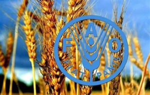 بدون تنوع زیستی، تولید غذا با خطر جدی مواجه است بدون تنوع زیستی، تولید غذا با خطر جدی مواجه است