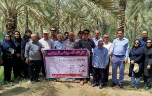 برنامه آموزشی- ترویجی کنترل آفات خرما در تنگستان اجرا شد