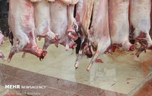 تشدید نظارت‌ها بر ذبح دام عید قربان/ راه‌اندازی۶جایگاه موقت کشتار درقم