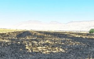 تشکیل پرونده قضایی برای ۱۰ متخلف آتشسوزی در مُهر تشکیل پرونده قضایی برای ۱۰ متخلف آتشسوزی در مُهر