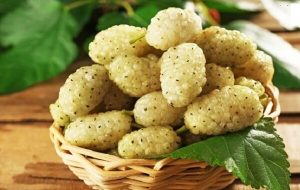 دومین جشنواره توت سفید در هوراند برگزار می‌شود