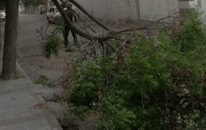 طوفان و قطعی برق در برخی نقاط شهرستان تربت حیدریه طوفان و قطعی برق در برخی نقاط شهرستان تربت حیدریه