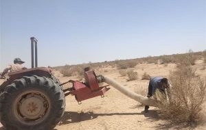 ملخ‌های بومی برای تولید خوراک طیور و آبزیان جارو می‌شوند