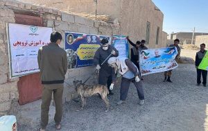واکسیناسیون بیش از ۲هزار قلاده سگ علیه بیماری هاری در سیستان وبلوچستان واکسیناسیون بیش از ۲هزار قلاده سگ علیه بیماری هاری در سیستان وبلوچستان