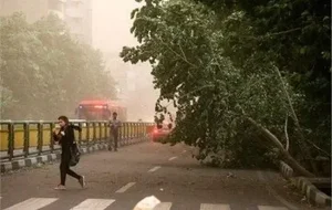 وزش باد شدید و احتمال طوفان گرد و خاک در تهران/ اعلام وضعیت قرمز در پایتخت