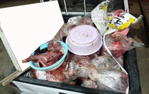 کشف ۳۷۸ کیلوگرم گوشت گراز در قصابی ساری کشف ۳۷۸ کیلوگرم گوشت گراز در قصابی ساری