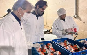 یارویسی: سلامت گوشت طیور خط قرمز دامپزشکی است یارویسی: سلامت گوشت طیور خط قرمز دامپزشکی است