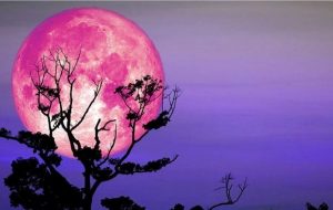 تاریخ دقیق رویت ماه توت فرنگی تیر ۱۴۰۵/ فرصت تماشای ماه را از دست ندهید
