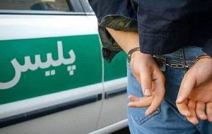 دستگیری ۴ سارق و کشف ۱۵ فقره سرقت از باغات در همدان