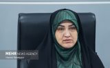 رفیعی: مجلس بر اجرای کامل مفاد تفاهم نظارت مستمر خواهد داشت