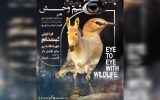 رویداد تجسمی «چشم در چشم حیات‌وحش» برگزار می‌شود