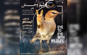 رویداد تجسمی «چشم در چشم حیاتوحش» برگزار میشود رویداد تجسمی «چشم در چشم حیاتوحش» برگزار میشود