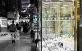 قیمت جدید طلای 18عیار امروز دوشنبه 25خرداد/ کاهش قیمت + جدول و جزئیات