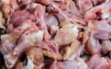 مواد غذایی فاسد در بوشهر کشف و معدوم‌سازی شد