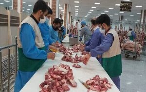 نظارت دامپزشکی بر ۲ هزار رأس دام قربانی در آذربایجان‌شرقی