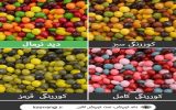 چرا بسیاری از افراد تا بزرگسالی نمی‌دانند کوررنگ هستند؟