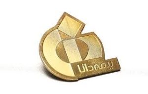 بج سینه برای نمایشگاه و همایش