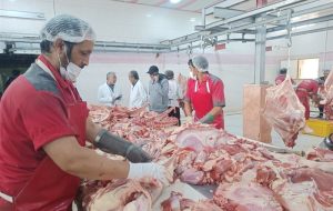 سختگیری جدید اروپا؛ فرصتی برای ارتقاء سلامت تولیدات دامی ایران سختگیری جدید اروپا؛ فرصتی برای ارتقاء سلامت تولیدات دامی ایران