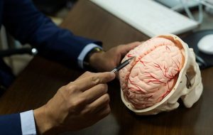 فرصت همکاری در حوزه علوم اعصاب و فناوری