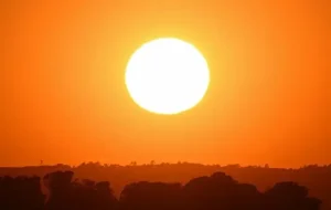 موج مرگبار گرما در آمریکا / دستکم ۲۵ نفر جان باختند موج مرگبار گرما در آمریکا / دستکم ۲۵ نفر جان باختند