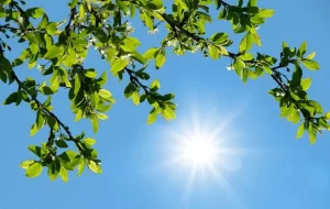 هشدار هواشناسی به ساکنان این استانٰها/ گرمای بیسابقه در راه است هشدار هواشناسی به ساکنان این استانٰها/ گرمای بیسابقه در راه است