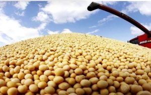کاهش ۷.۴درصدی میانگین قیمت جهانی سویای صادراتی در ۲۰۲۵؛ سهم ایران از بازار جهانی چقدر است؟ کاهش ۷.۴درصدی میانگین قیمت جهانی سویای صادراتی در ۲۰۲۵؛ سهم ایران از بازار جهانی چقدر است؟
