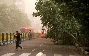وزش باد شدید در تهران