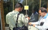 پلمب ۱۹ باغ‌رستوران دارای تخلف بهداشتی در ملارد