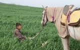 کوبیدن سیلی واقعیت برصورت رویا؛ سینمای مستند از مساله اکران رنج می‌برد
